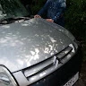 Максимус Певец